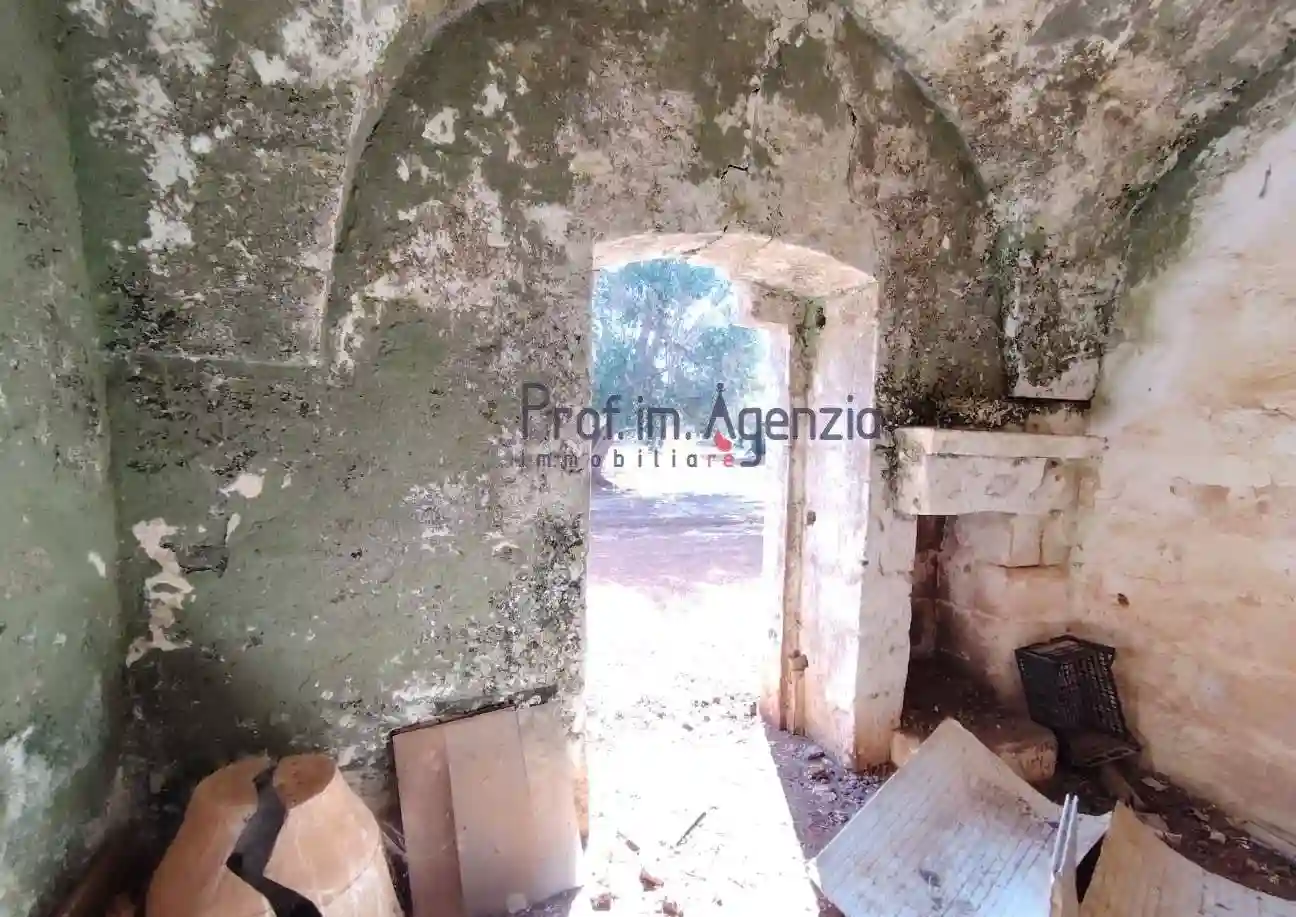 Rustico - Casale - foto 5