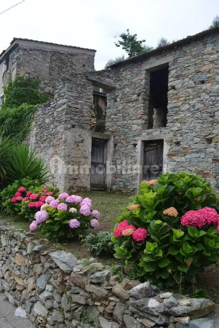 Rustico - Casale in vendita a Tovo San Giacomo