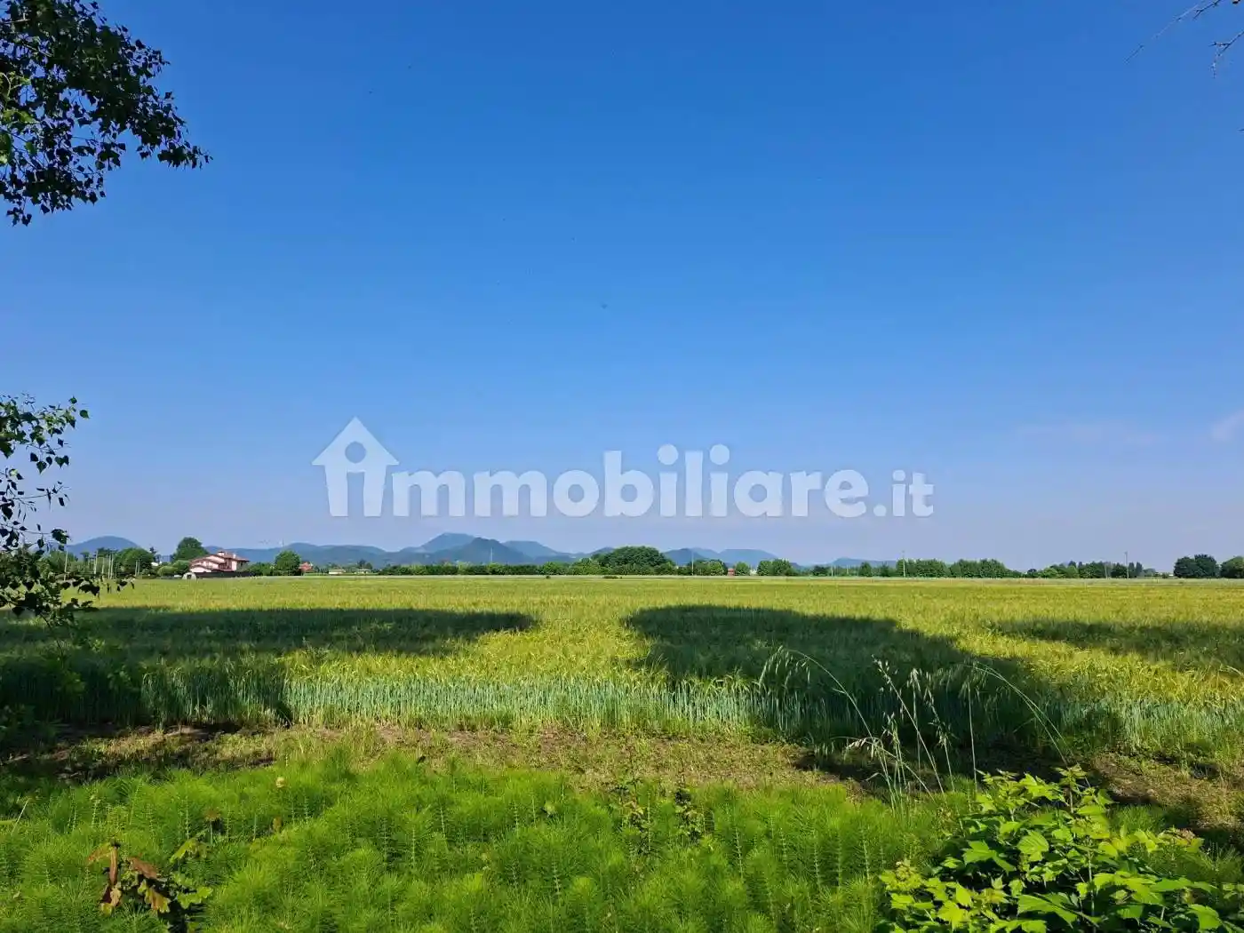 Villa in vendita a Due Carrare