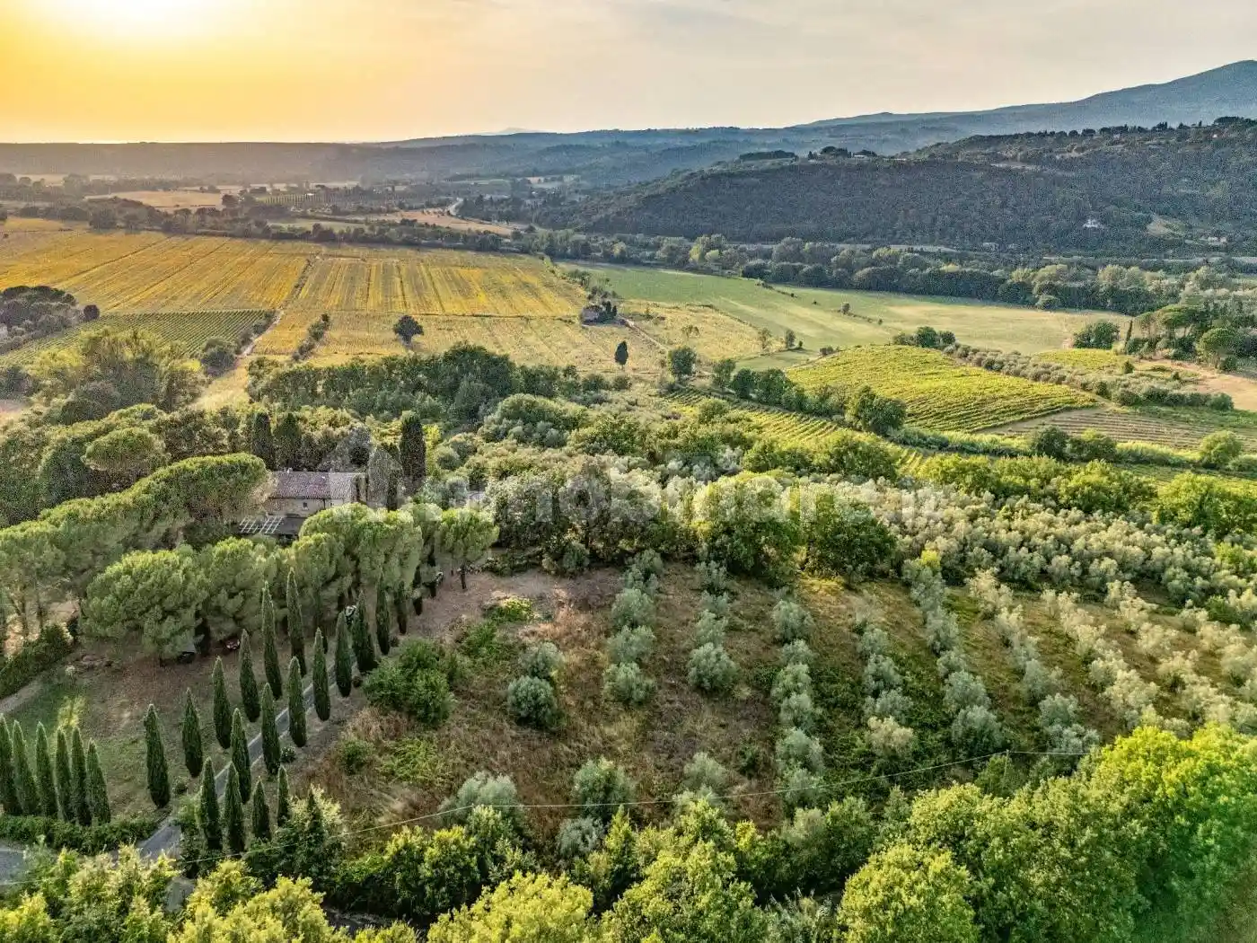 Rustico - Casale in vendita a Montescudaio