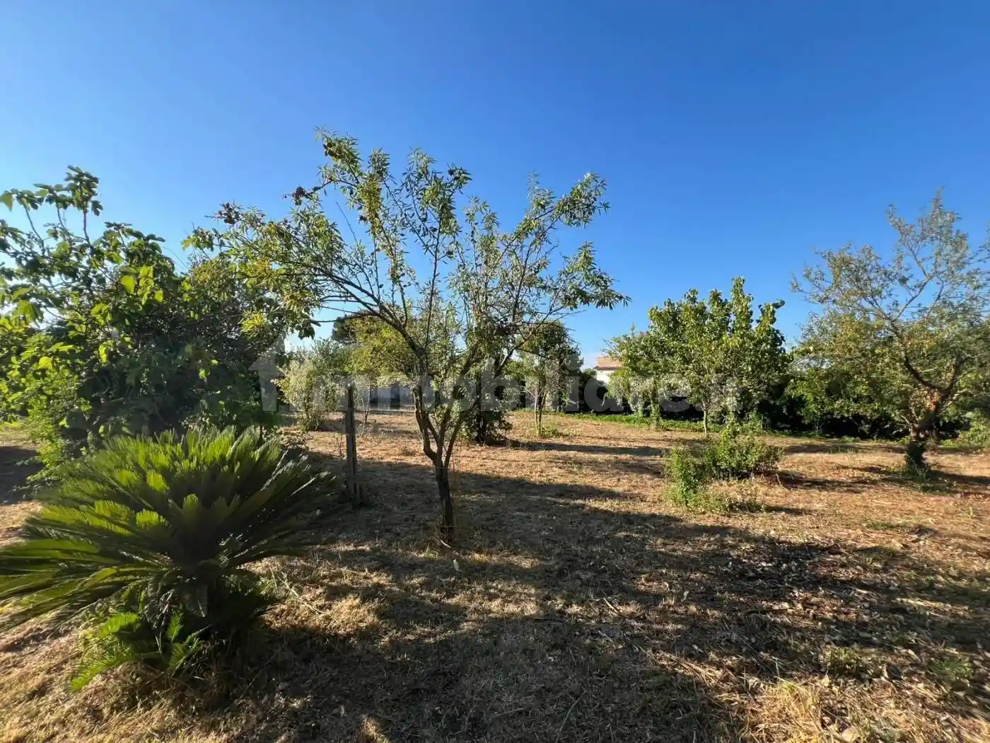 Villa in vendita a Nettuno