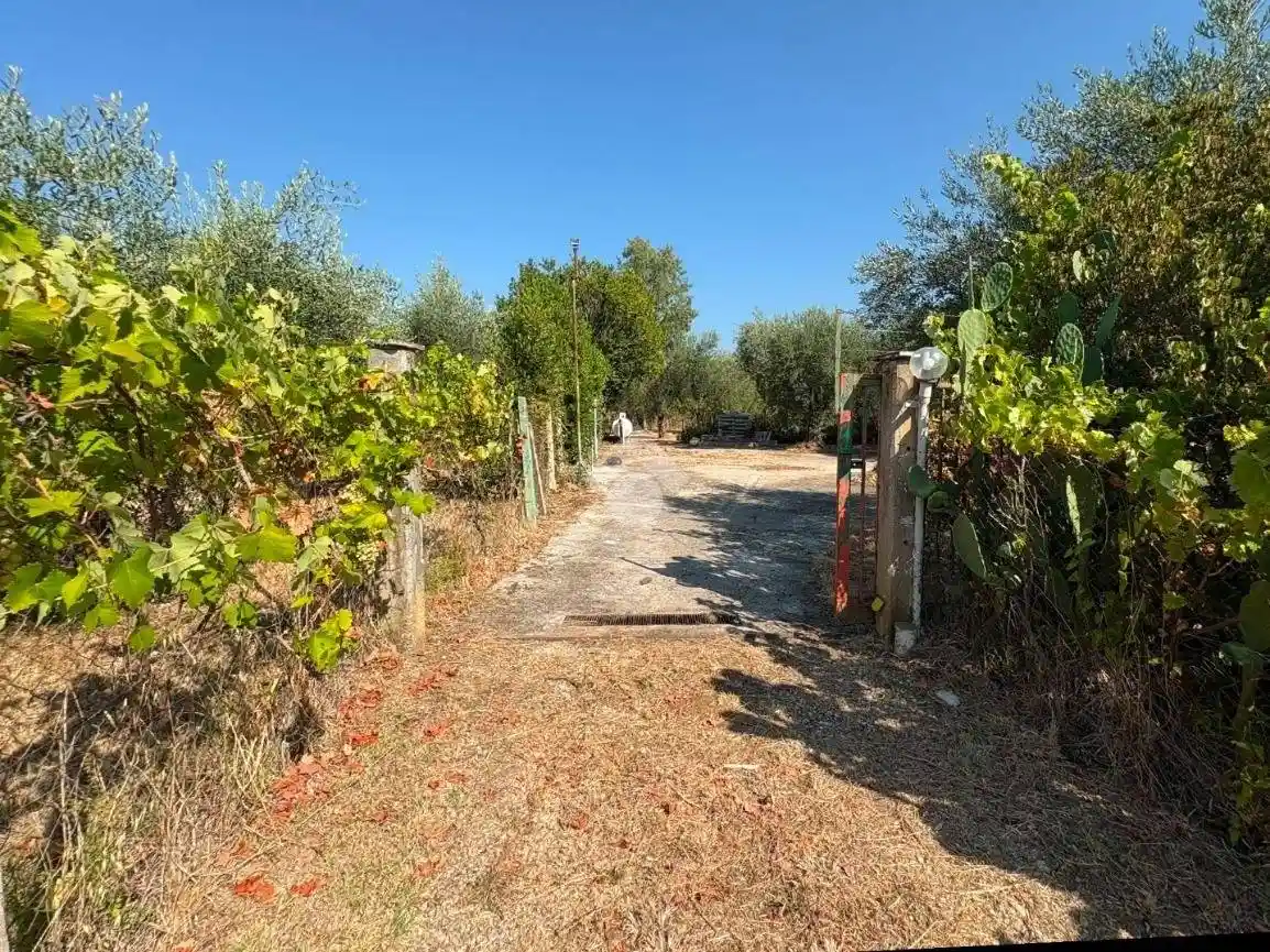 Rustico - Casale in vendita a Sermoneta