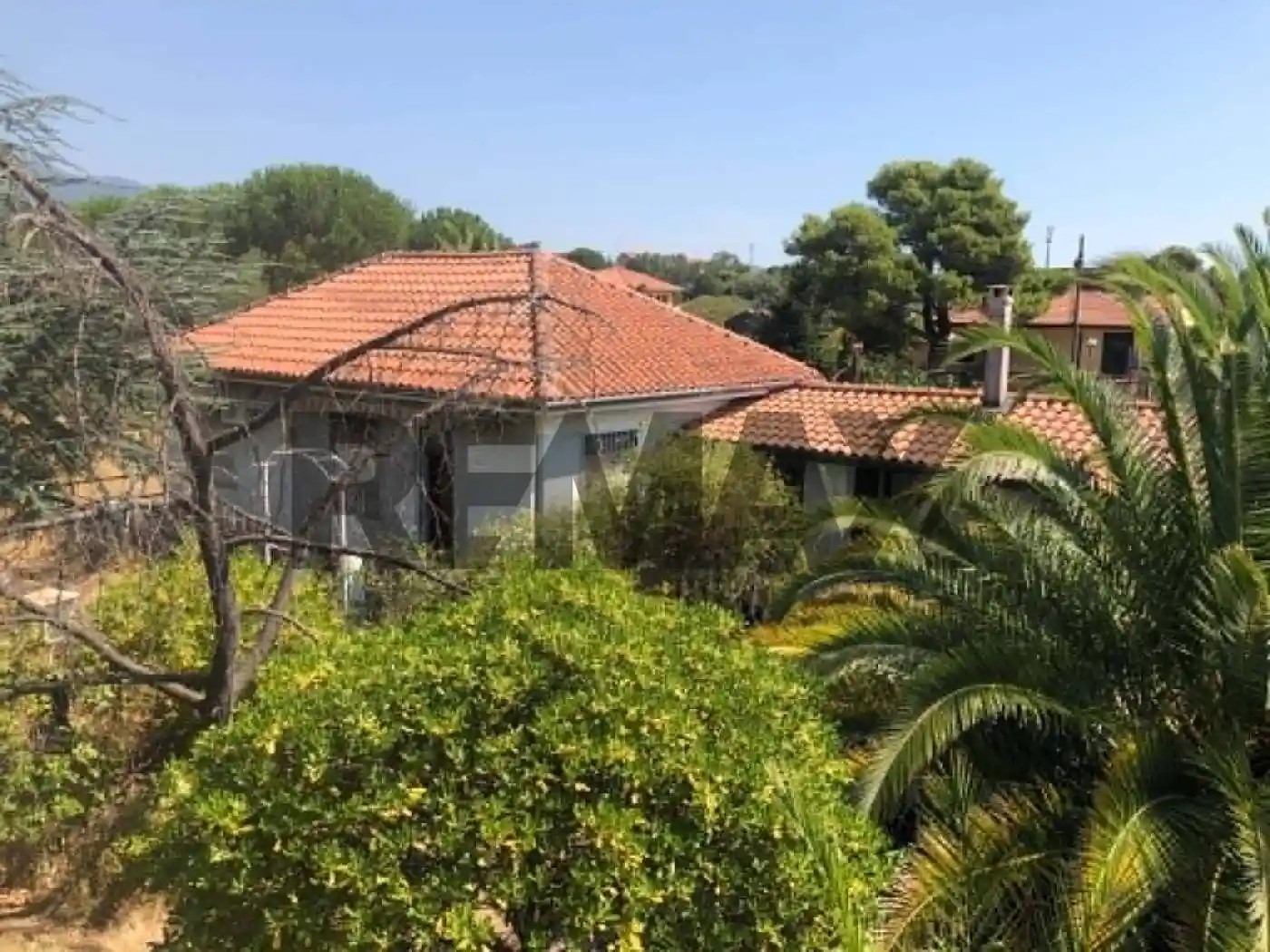 Villa in vendita a Pedara