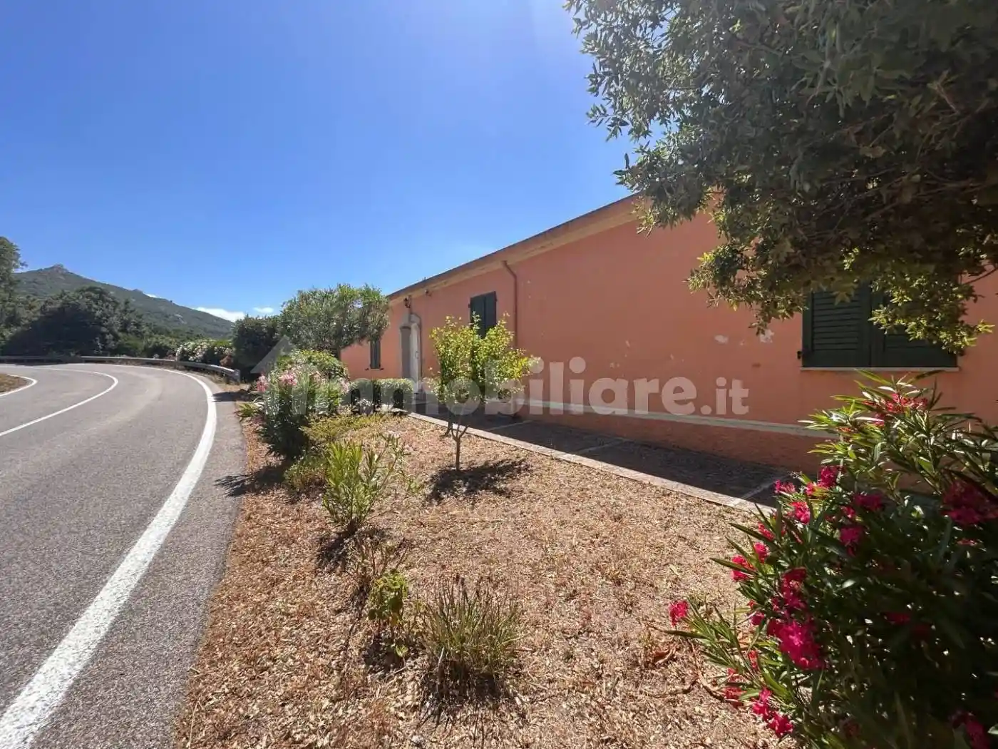 Casa indipendente in vendita a Luogosanto
