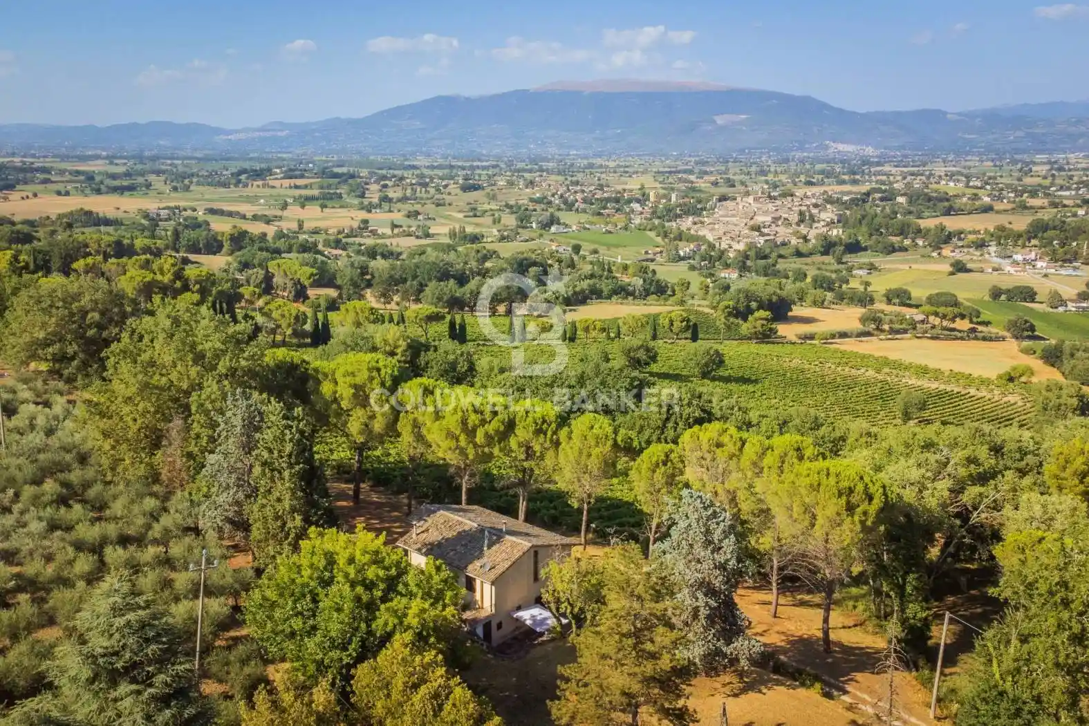 Villa in vendita a Bevagna