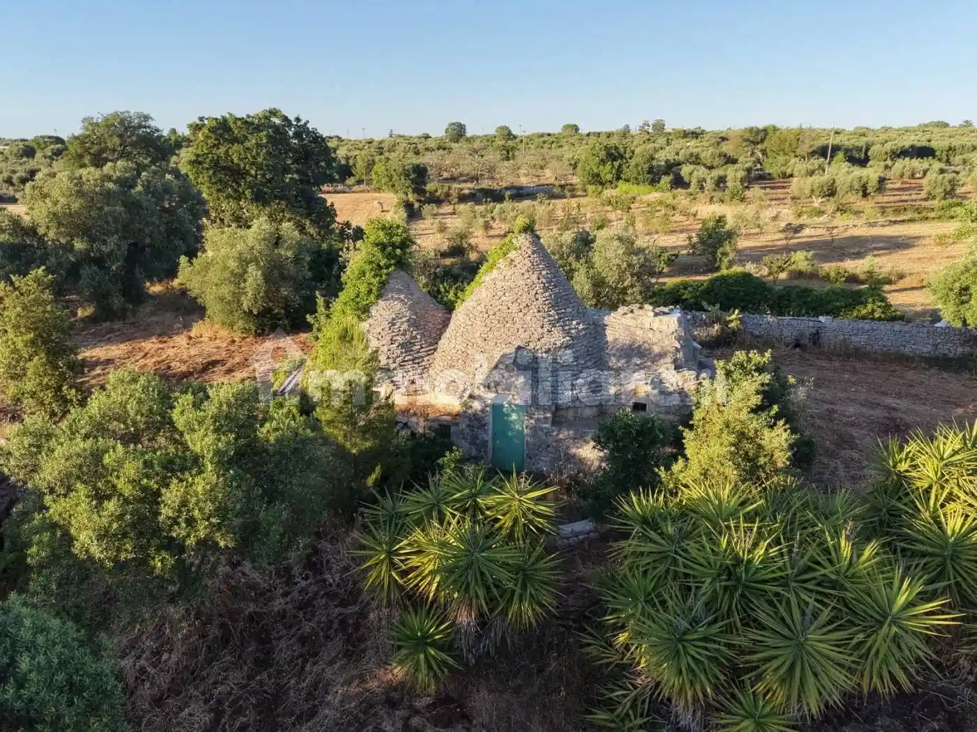 Villa in vendita a Polignano a Mare