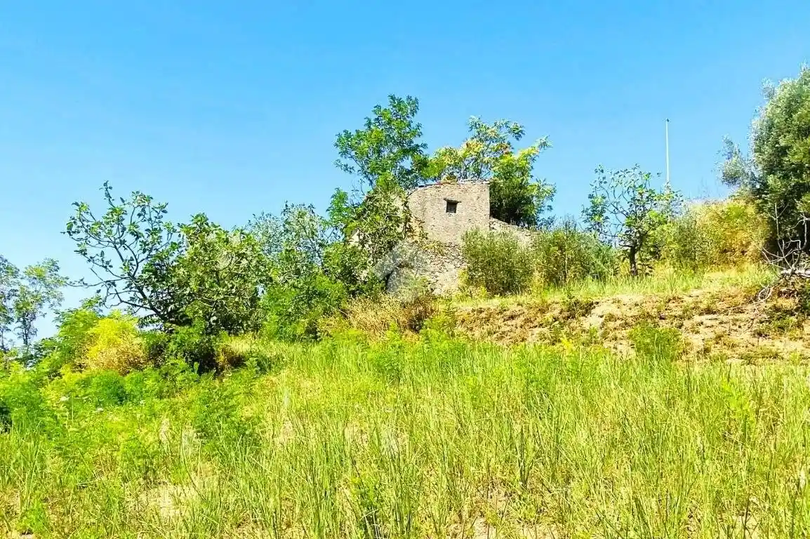 Rustico - Casale in vendita a Falconara Albanese