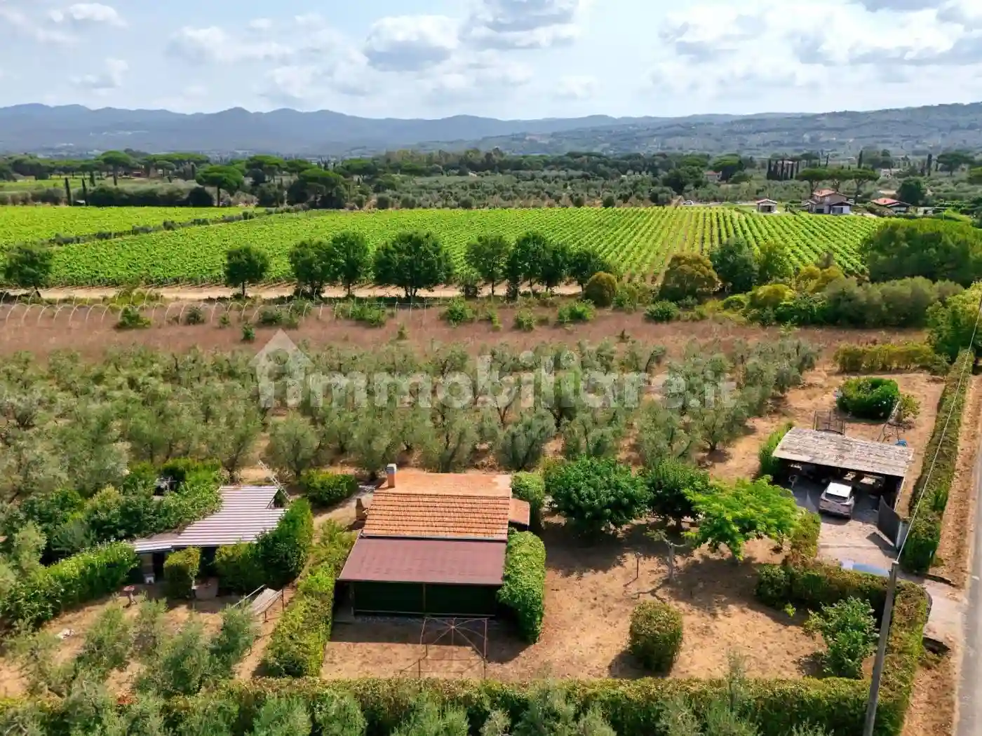 Rustico - Casale - foto 5