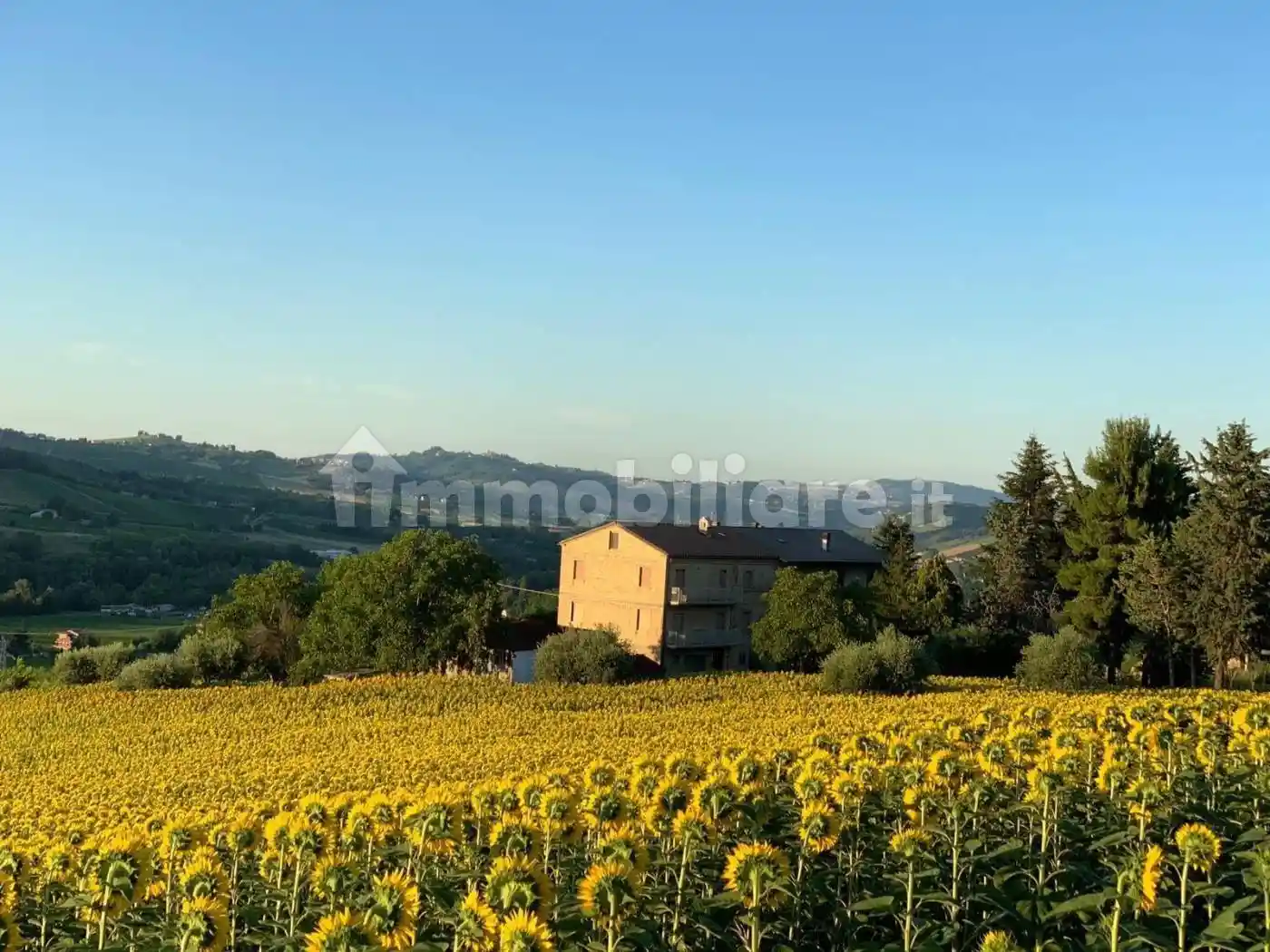 Casa indipendente in vendita a Montedinove