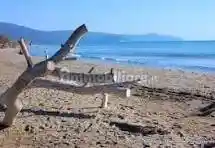 Rustico - Casale in vendita a Grosseto
