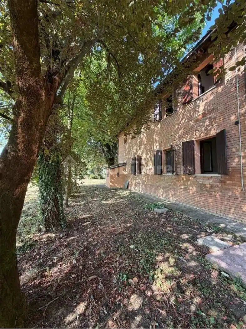 Appartamento in affitto a Castelnuovo Rangone