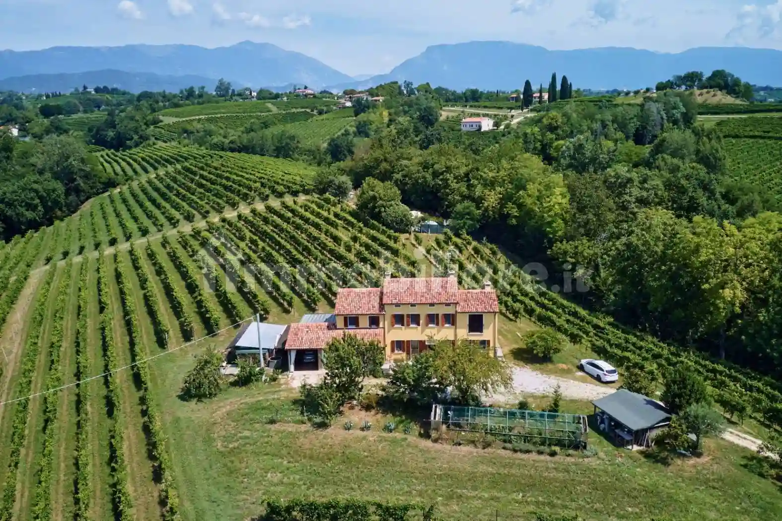 Villa - foto 5