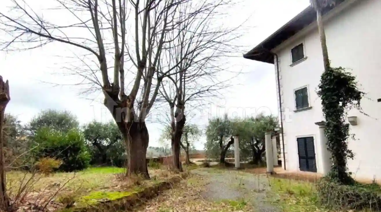 Palazzo - Edificio - foto 4