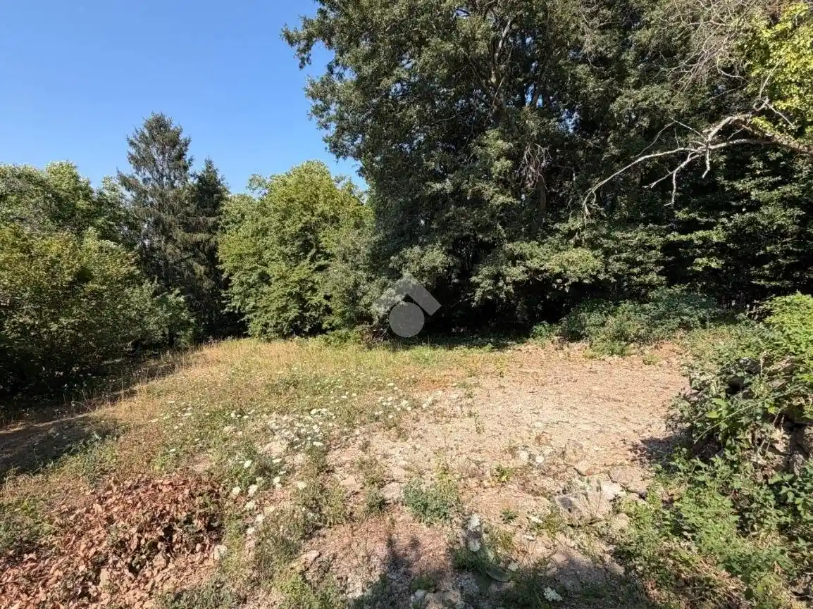 Rustico - Casale in vendita a Bracciano