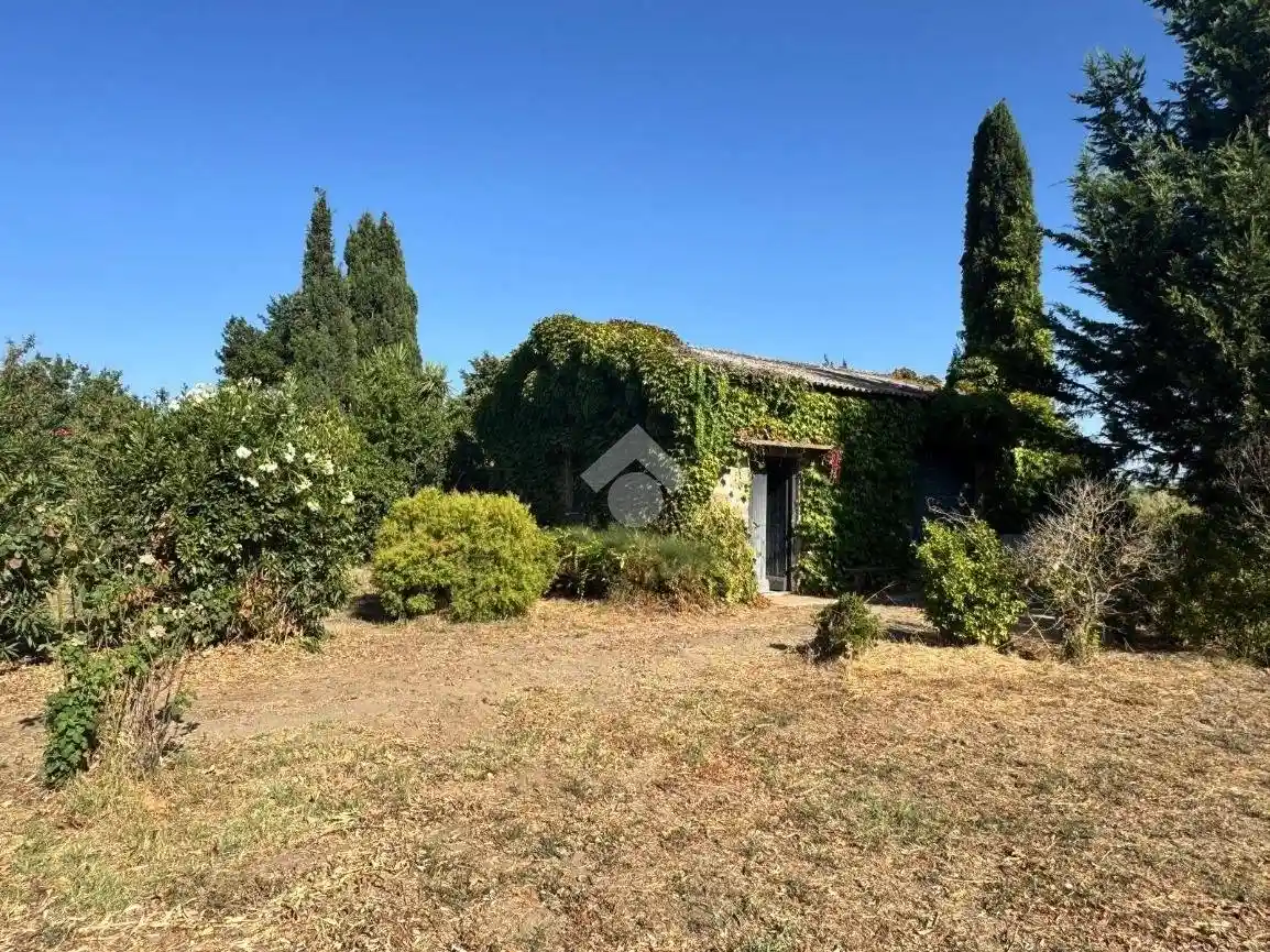 Rustico - Casale in vendita a Tuscania