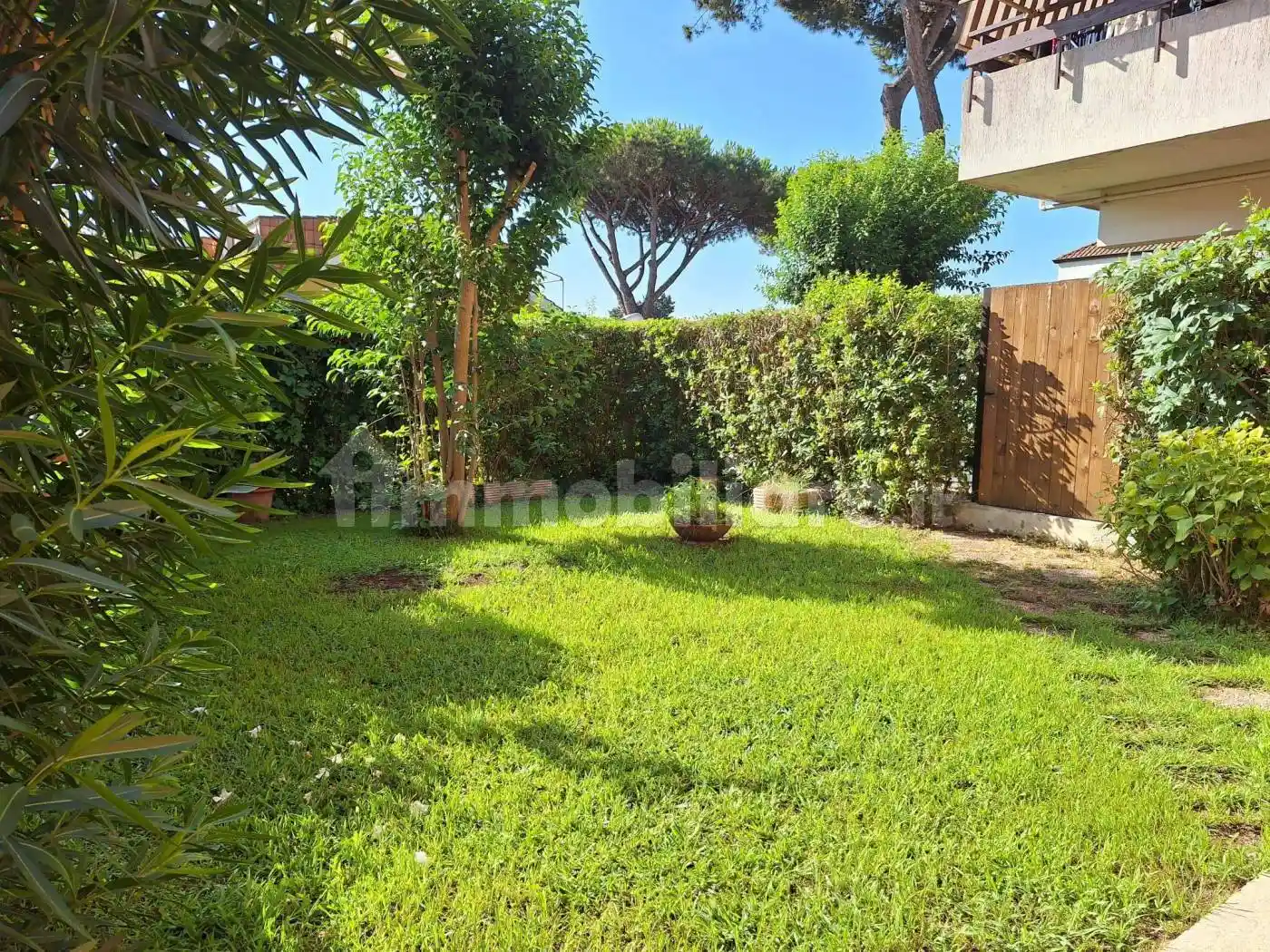 Appartamento in affitto a Ladispoli