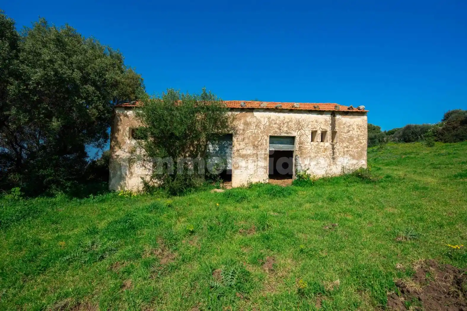 Rustico - Casale in vendita a Trinità d'Agultu e Vignola
