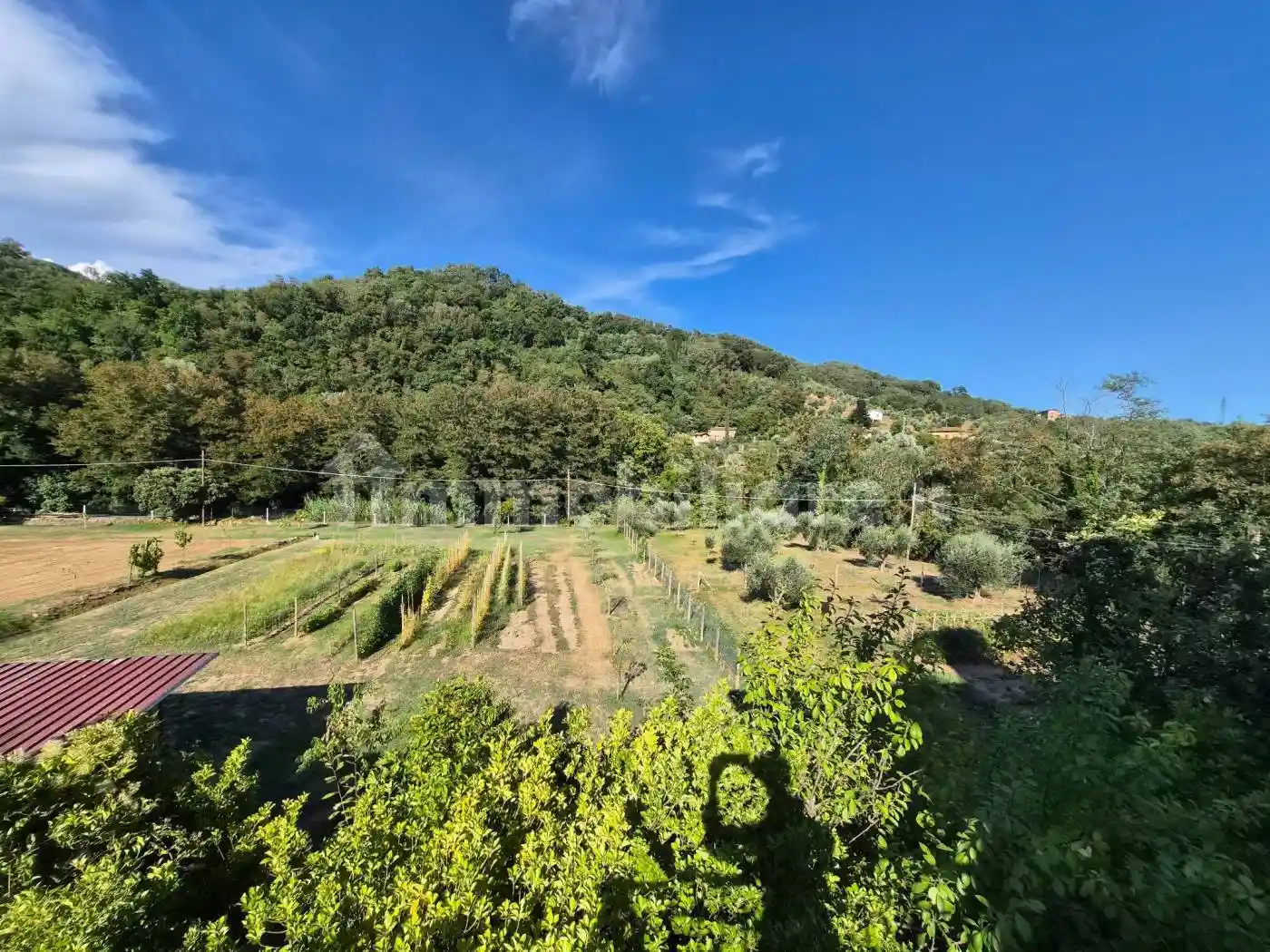 Appartamento in vendita a Montecatini-Terme