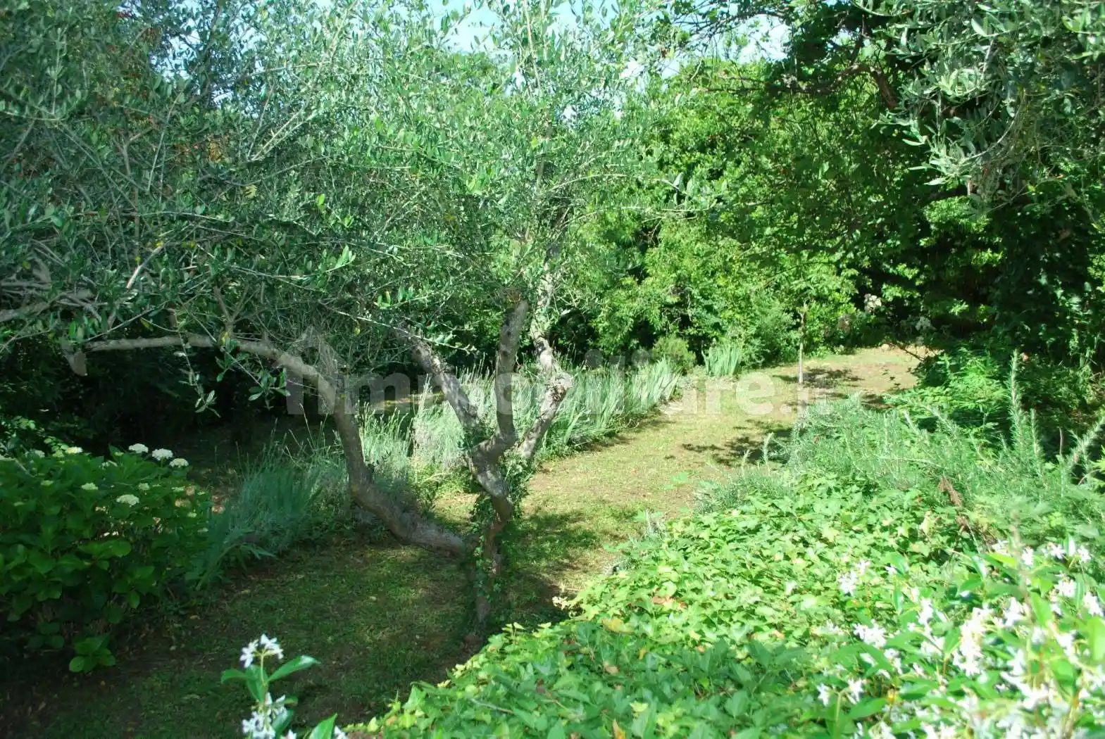 Villa in vendita a Ameglia
