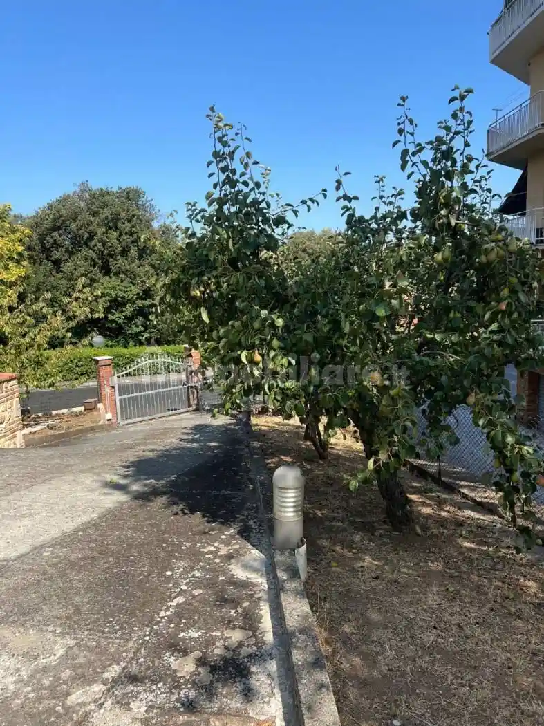 Appartamento in vendita a Massa Marittima