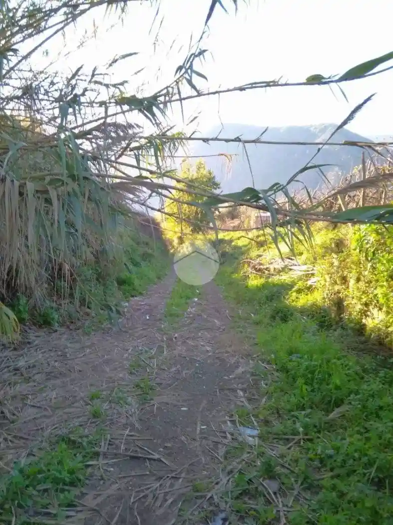 Rustico - Casale in vendita a Gragnano