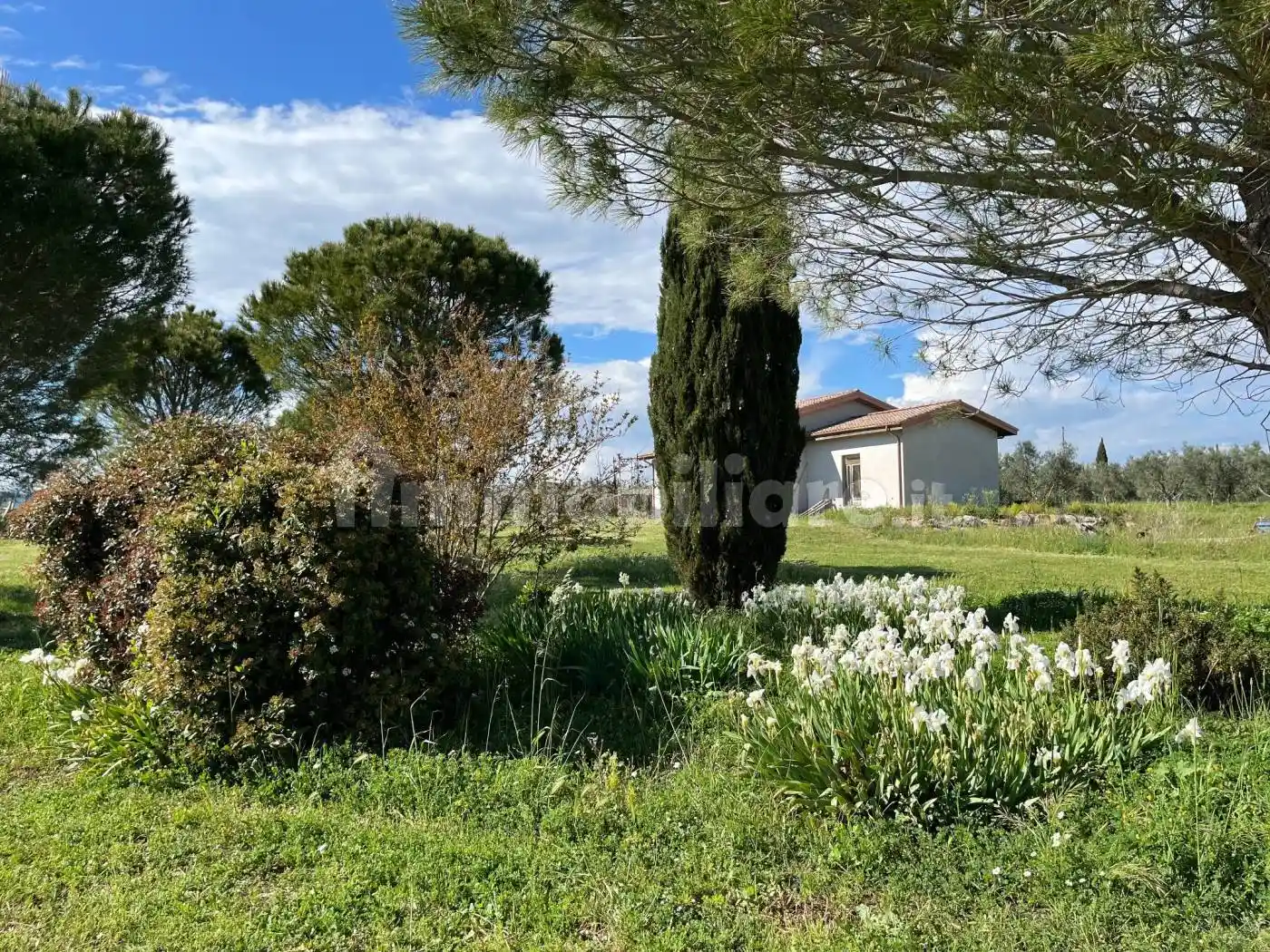 Villa in vendita a Canino