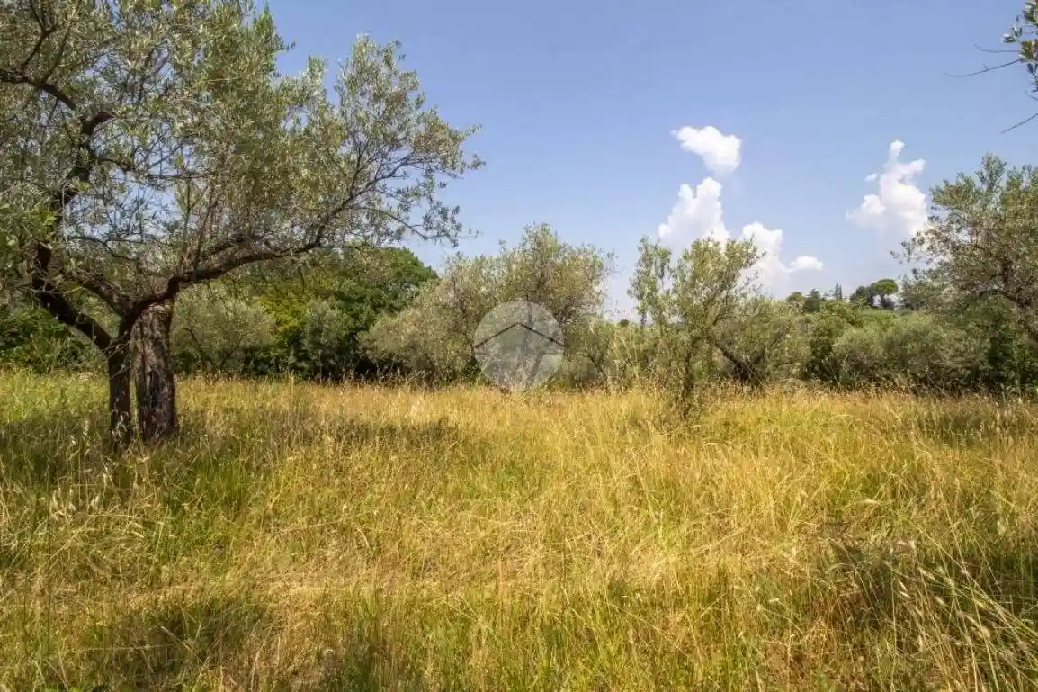 Rustico - Casale in vendita a Palombara Sabina