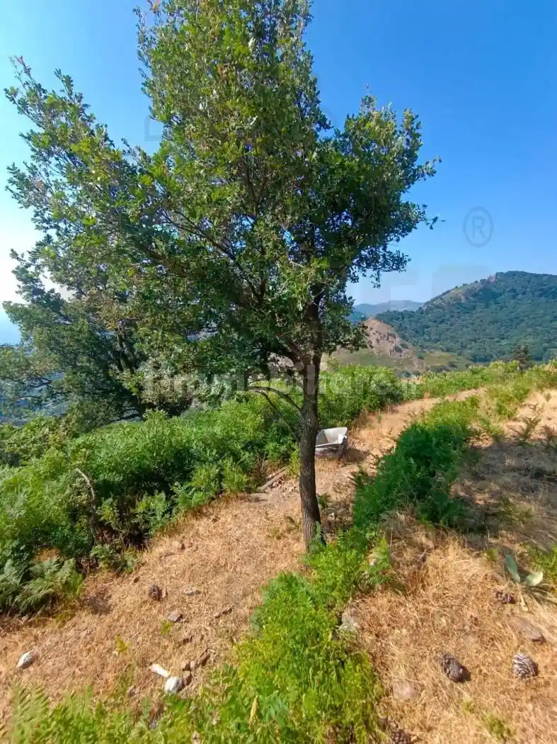 Rustico - Casale in vendita a Messina