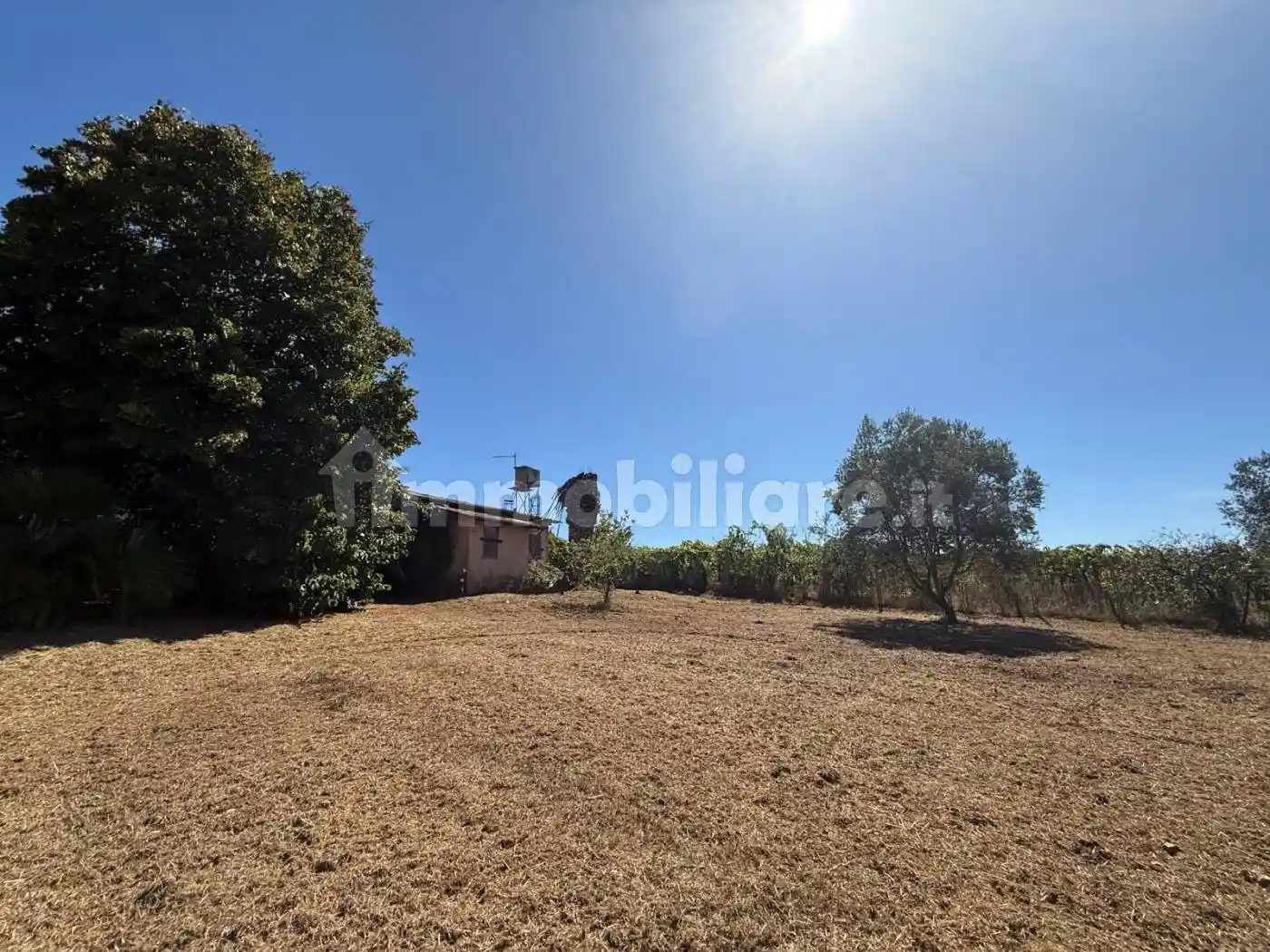 Rustico - Casale in vendita a Nettuno