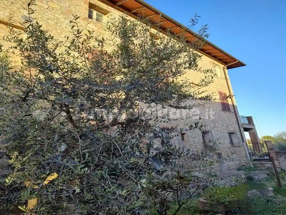 Palazzo - Edificio - foto 5