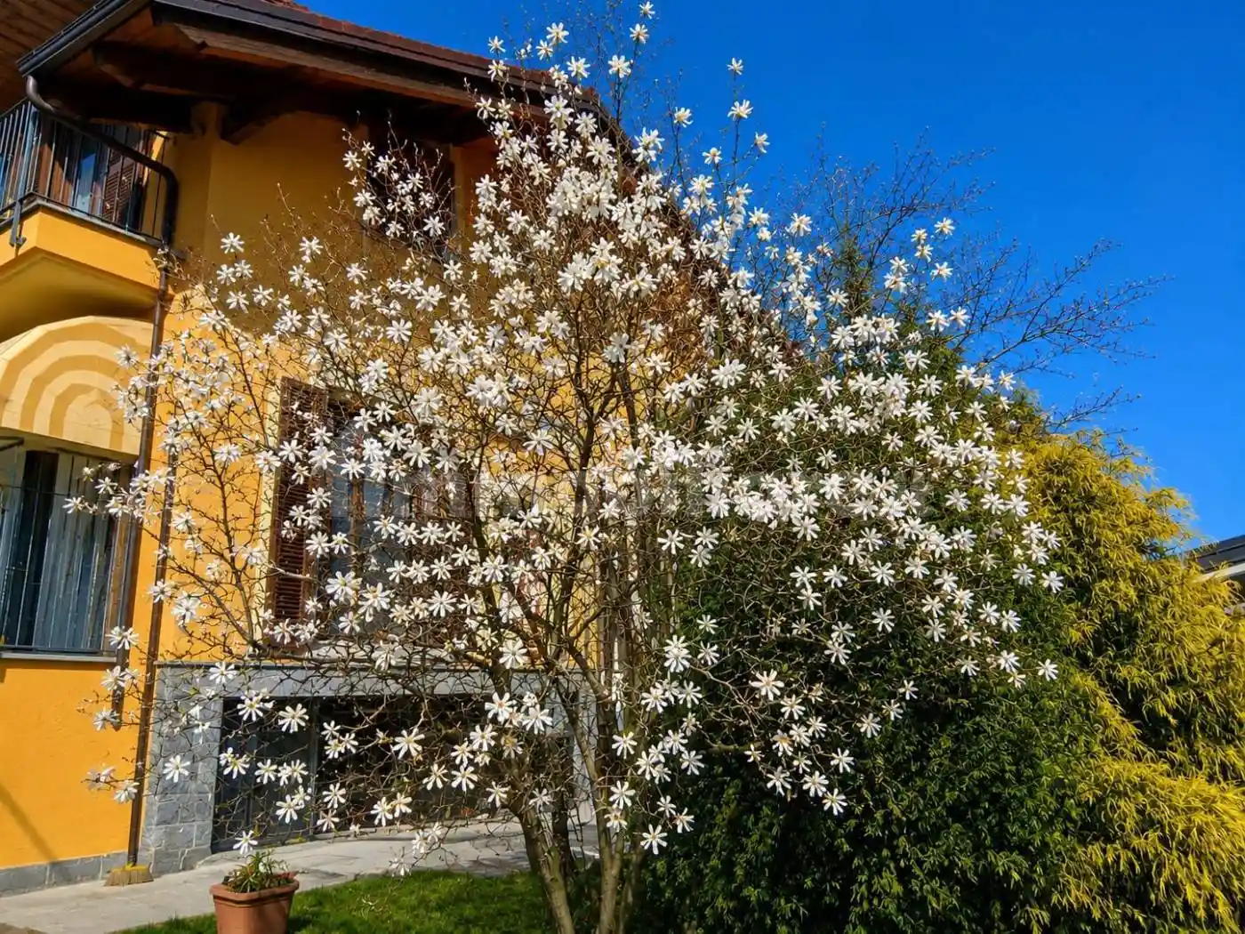 Villa in vendita a Cervasca