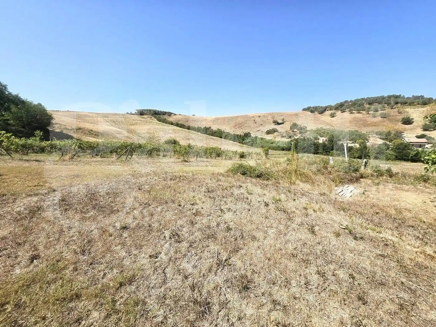 Rustico - Casale in vendita a Empoli