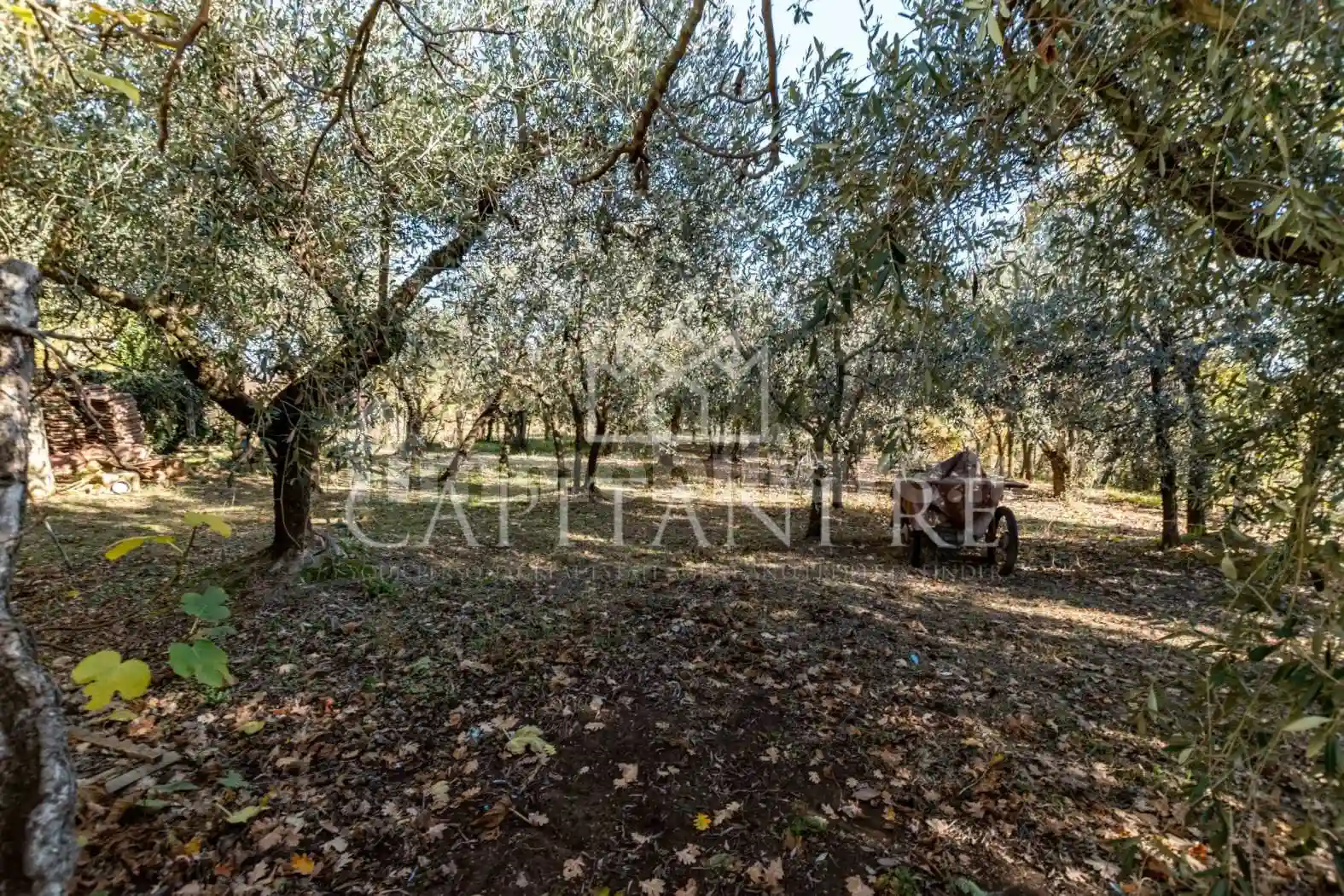 Rustico - Casale - foto 3