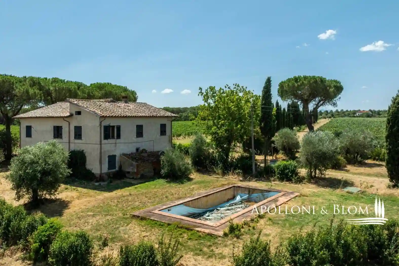 Rustico - Casale - foto 3
