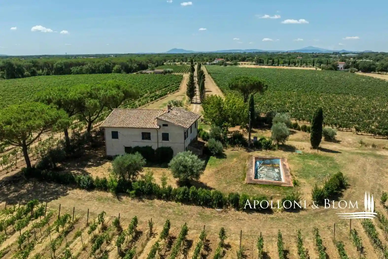 Rustico - Casale - foto 5