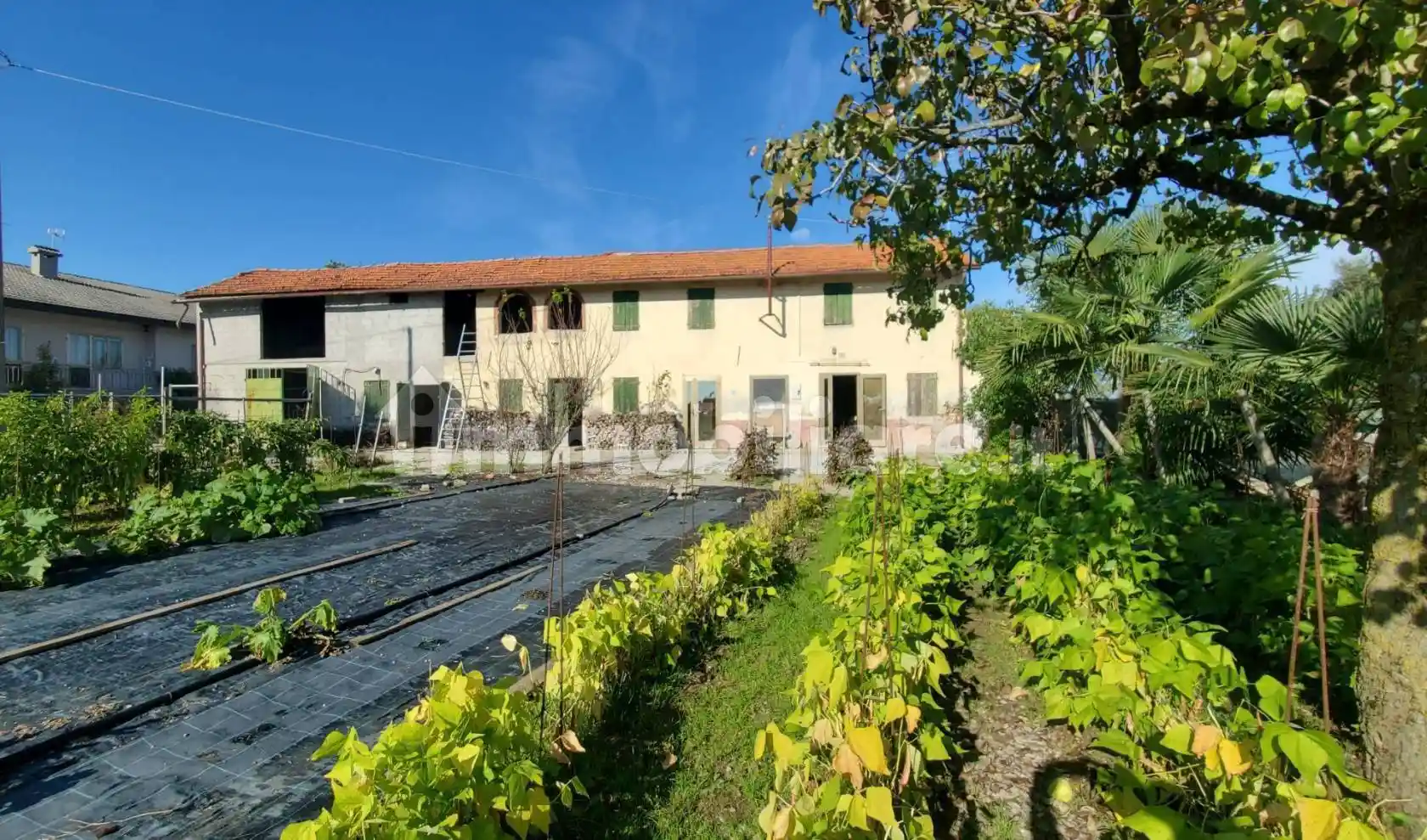 Rustico - Casale in vendita a Mansuè