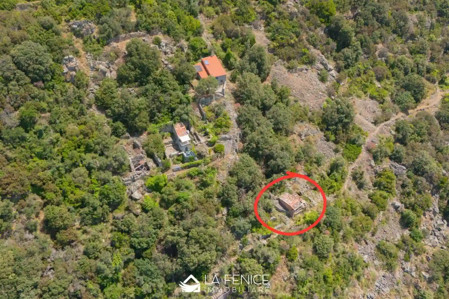 Rustico - Casale - foto 5