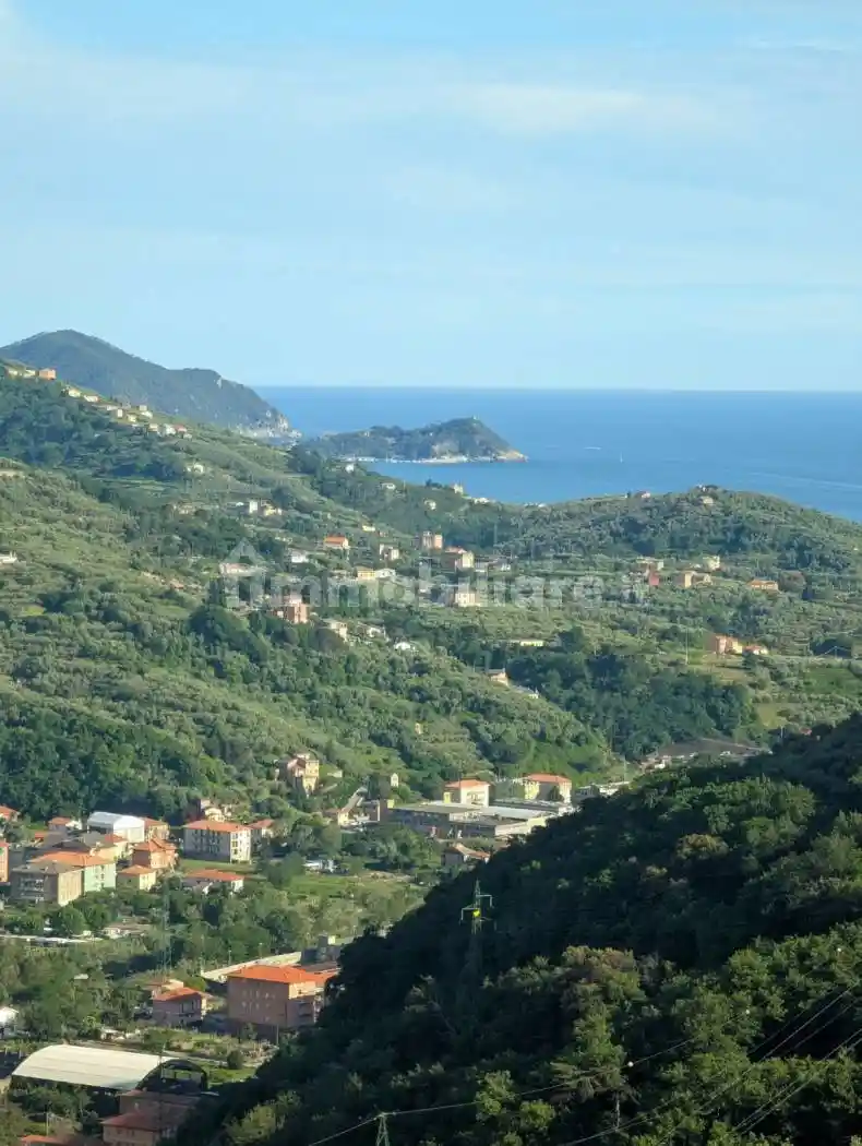 Villa in vendita a Leivi