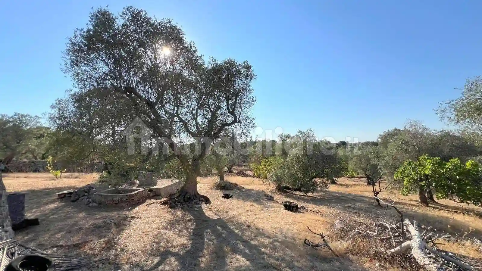 Rustico - Casale - foto 2
