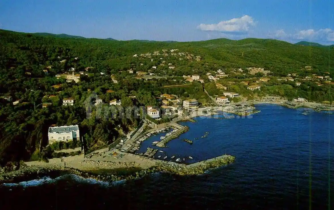 Appartamento in affitto a Livorno