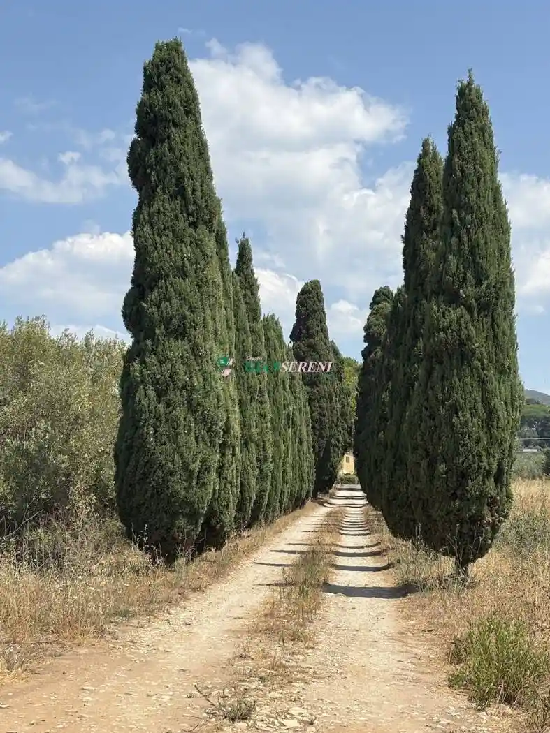 Appartamento in vendita a Campiglia Marittima