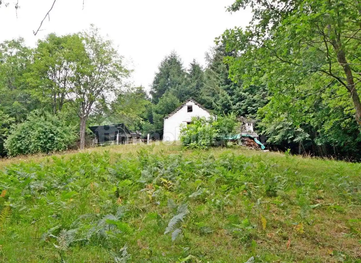Rustico - Casale in vendita a Bognanco