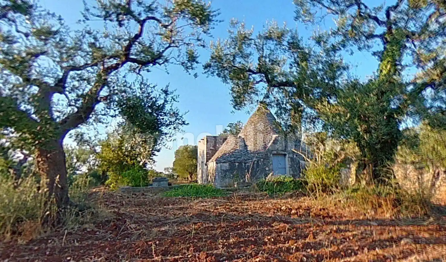 Rustico - Casale in vendita a Alberobello