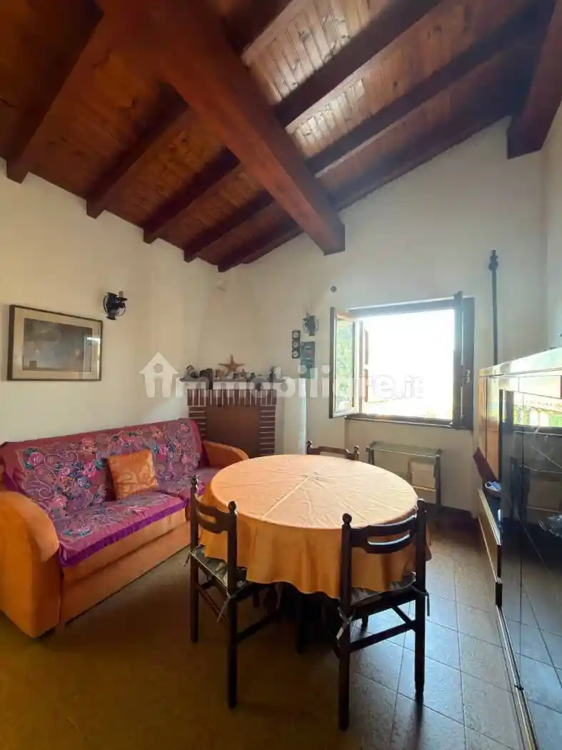 Casa indipendente in affitto a Dizzasco