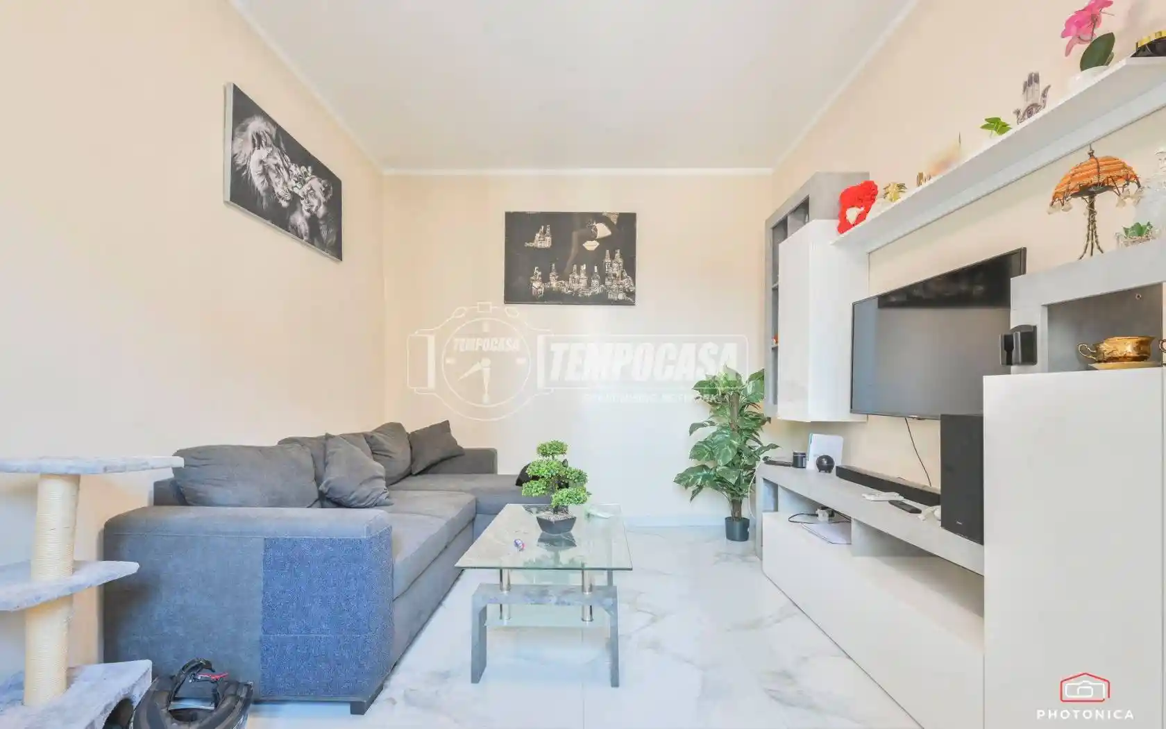 Appartamento in vendita a Livorno