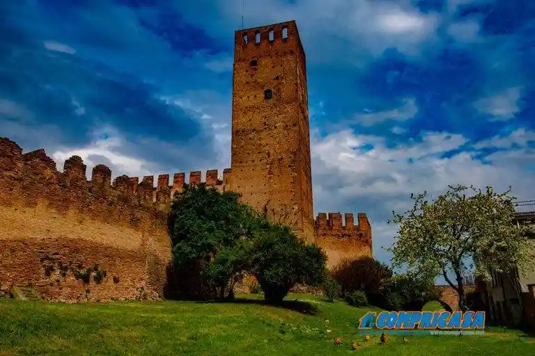 Palazzo - Edificio in vendita a Montagnana