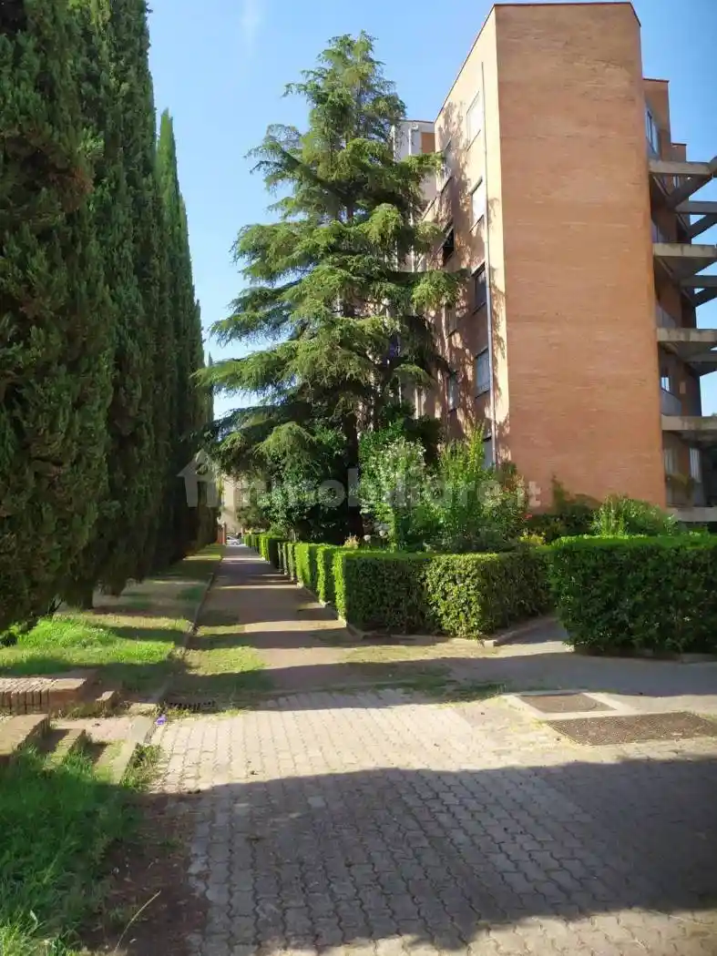 Appartamento in affitto a Pisa