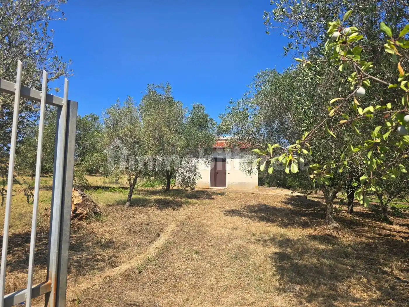 Casa indipendente in vendita a Zambrone