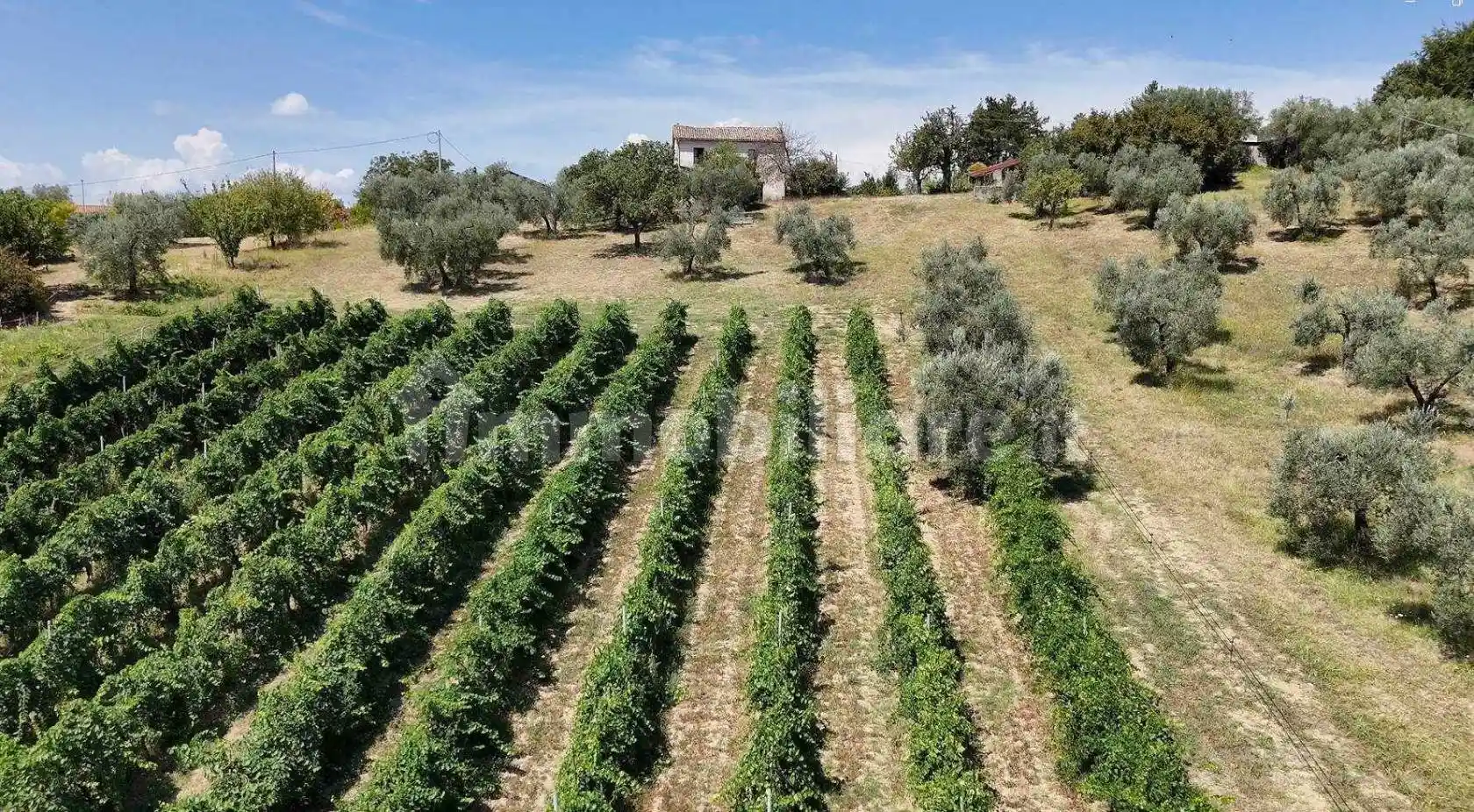 Rustico - Casale in vendita a Torri in Sabina