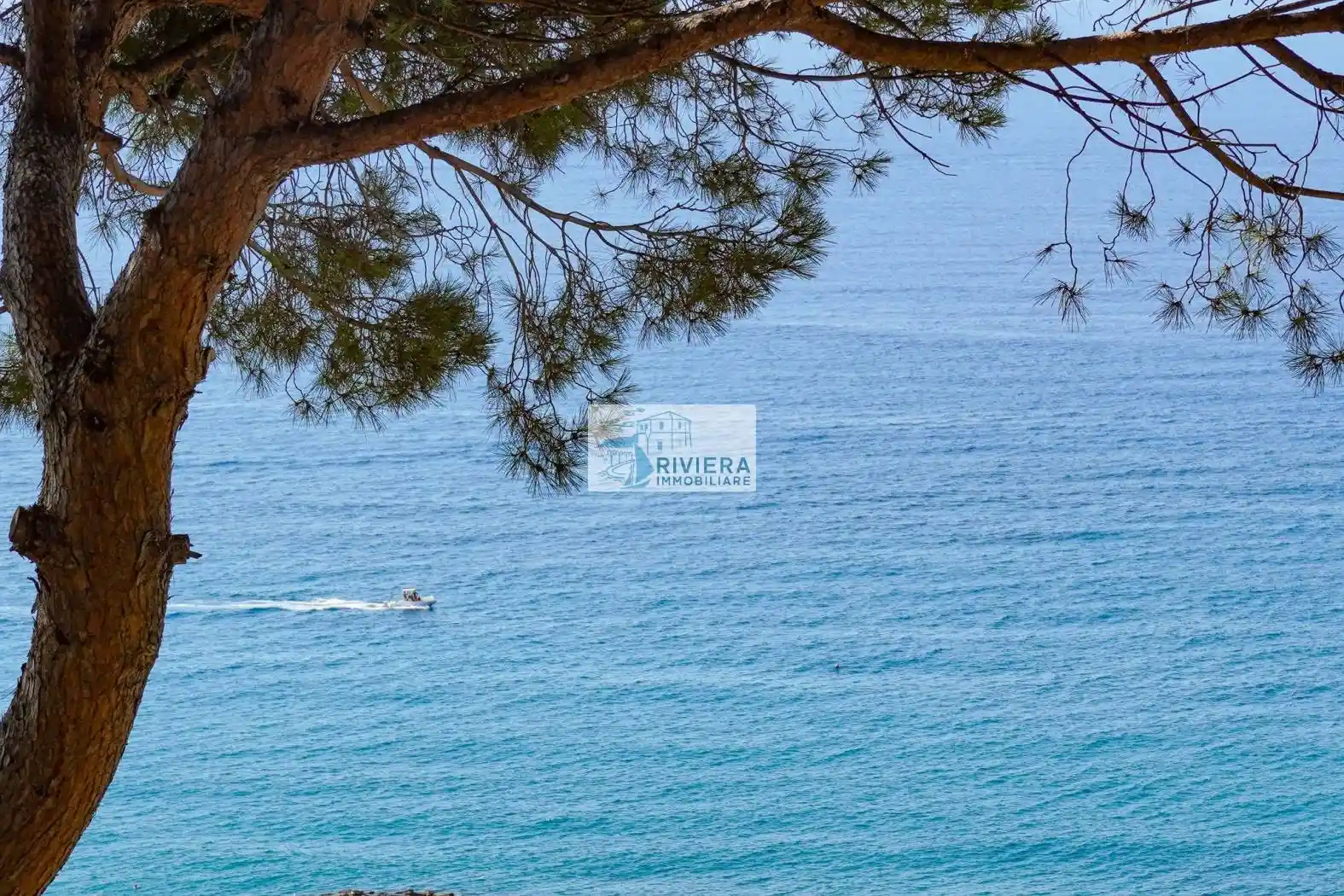 Appartamento in vendita a Santo Stefano al Mare